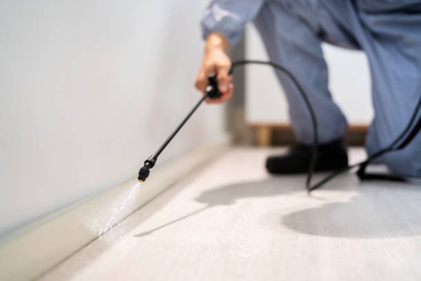 Licensed Pest Control service in Terryville, CT - Show Me Pest Control