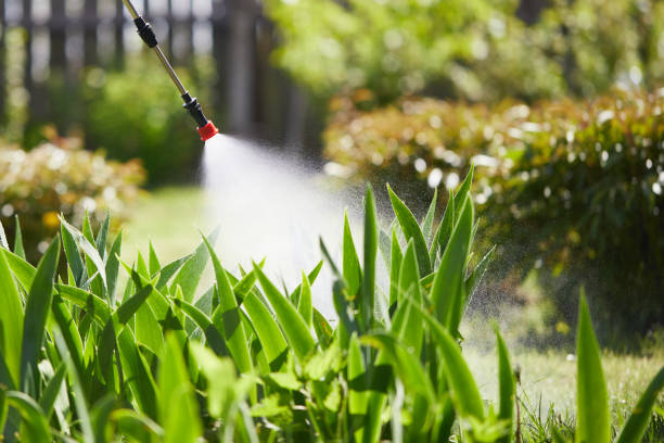 Tamper-Resistant Bait Stations for Rodents in Terryville
