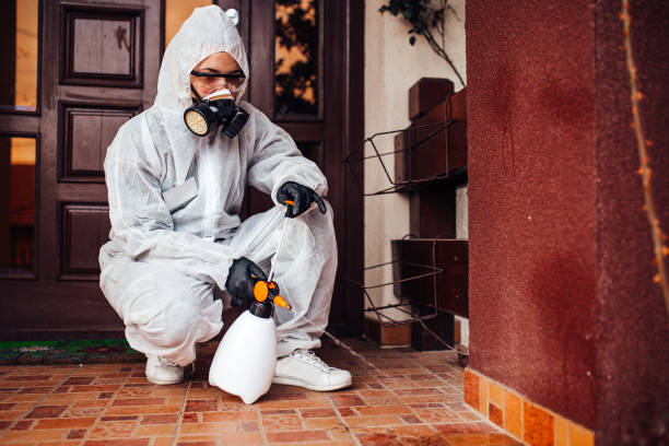 Attic and Crawl Space Rodent Treatment in Terryville