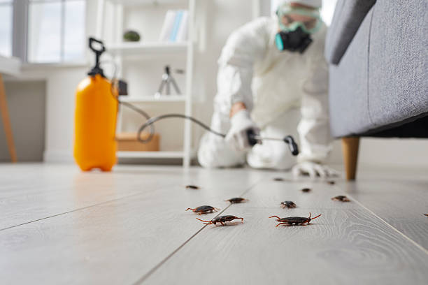 Commercial Rodent Management in Terryville
