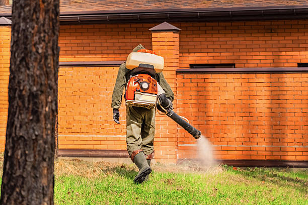 Rodent Follow-Up Monitoring in Terryville